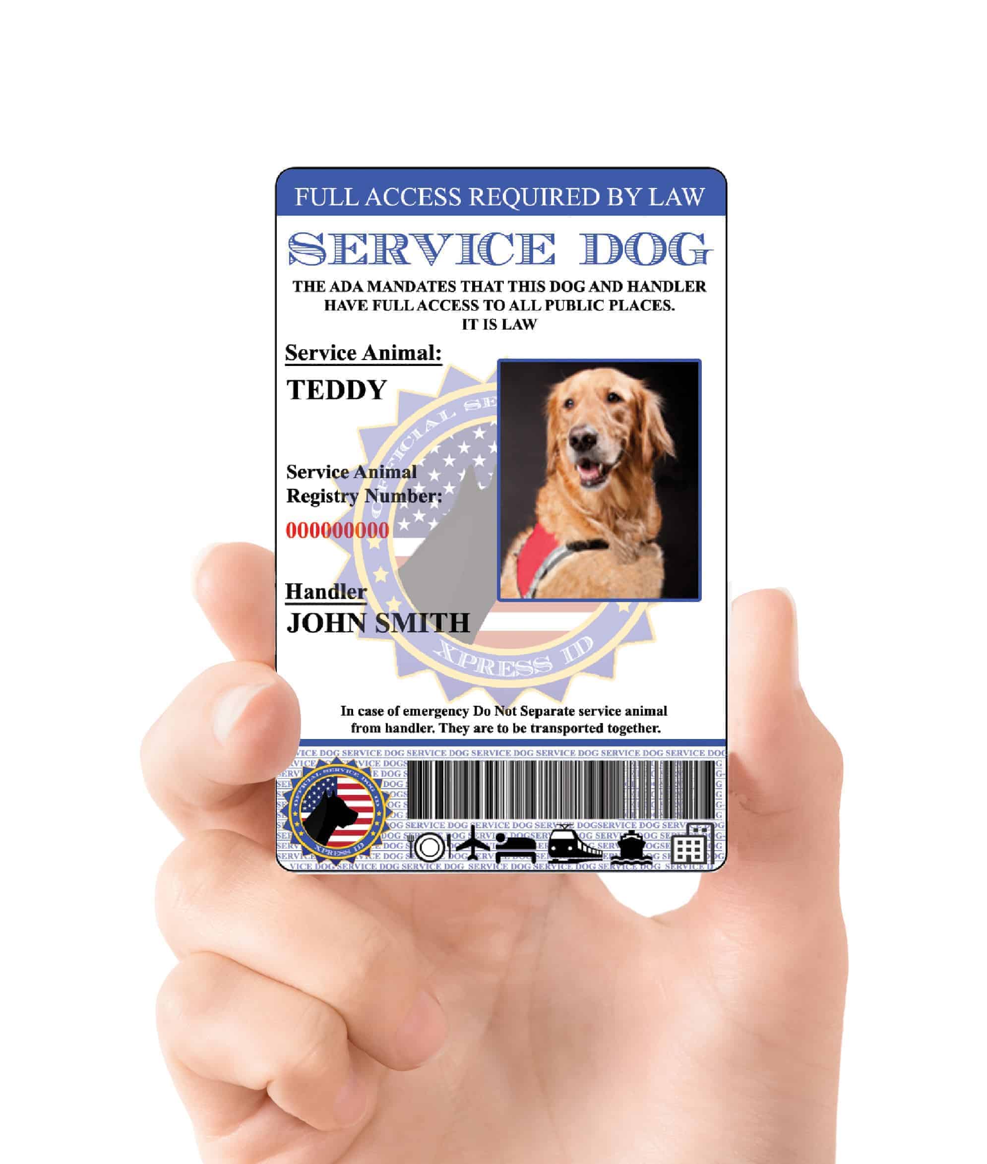 PET ID CARD BADGE  FOR SERVICE ANIMAL PROFESSIONAL TAG 21 HOLOGRAM SERVICE DOG 