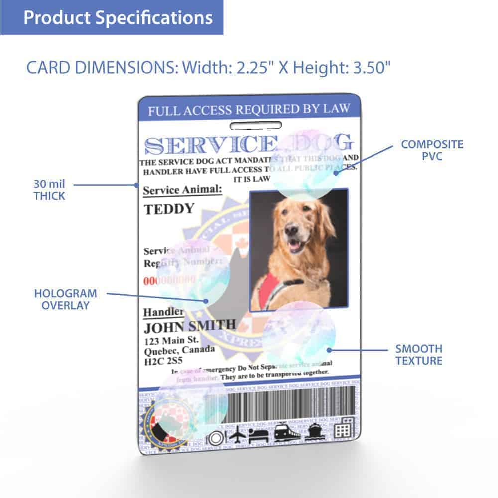 HOLOGRAPHIC CANADA SERVICE DOG ID CARD BADGE ADI LAW ASSISTANCE ANIMAL TAG 22 