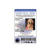 Service Dog European ID Badge